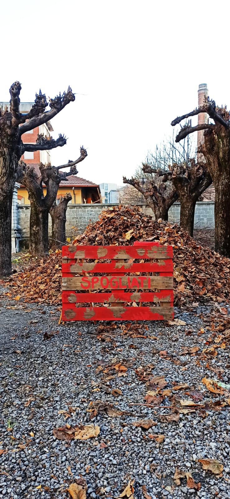 Spògliati Spogliàti