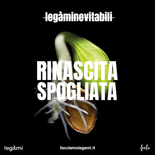 Rinascita spogliata