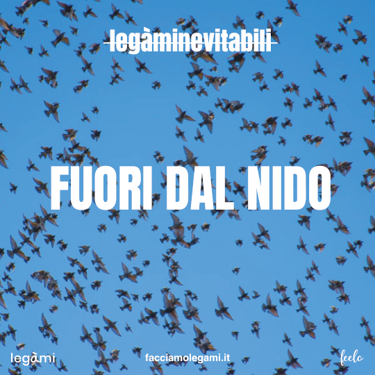 Fuori dal nido