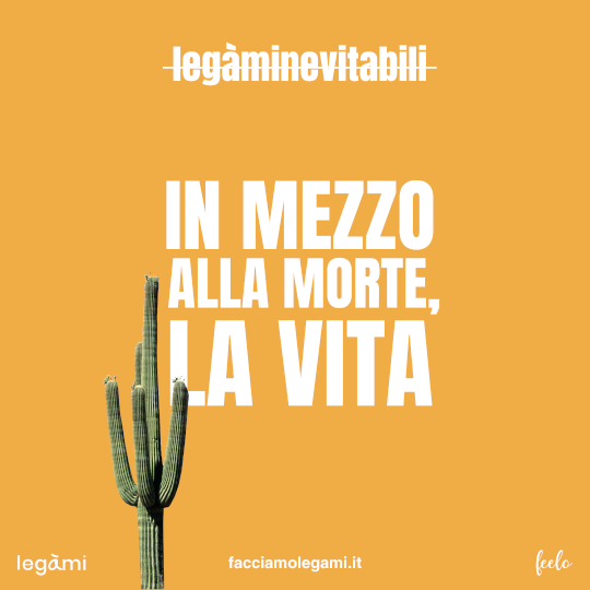 In mezzo alla morte, la vita